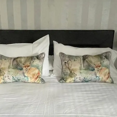 The Unicorn Oda ve Kahvaltı 4*